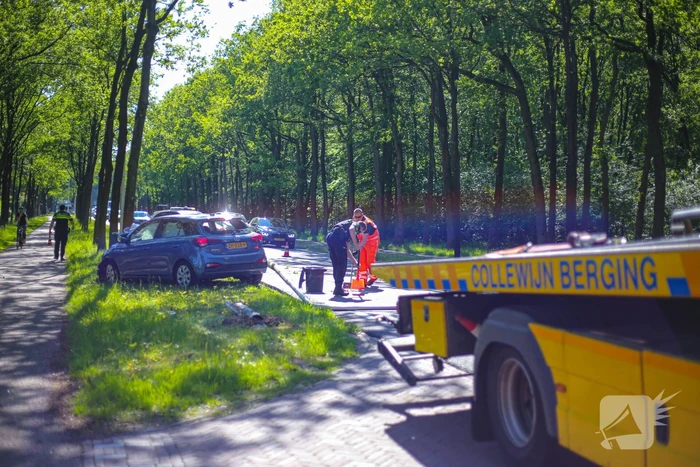 Personenauto belandt op boom
