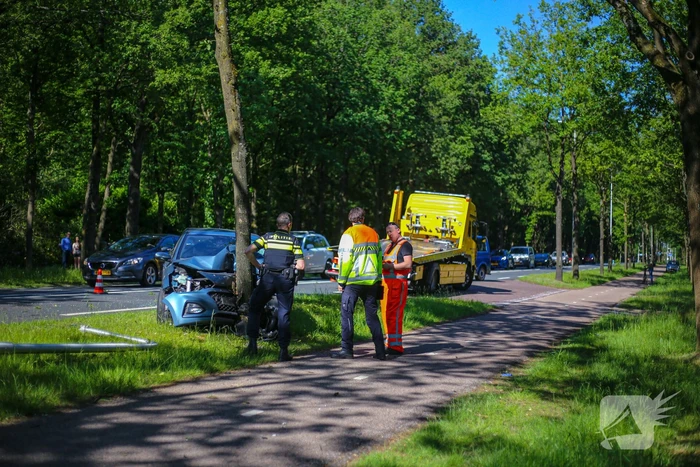 Personenauto belandt op boom