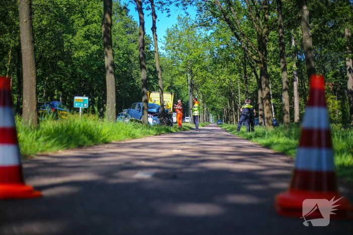 Personenauto belandt op boom
