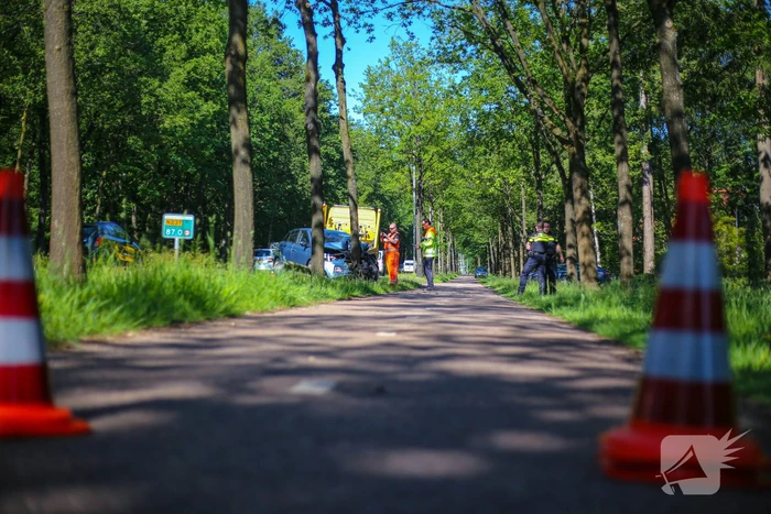 Personenauto belandt op boom