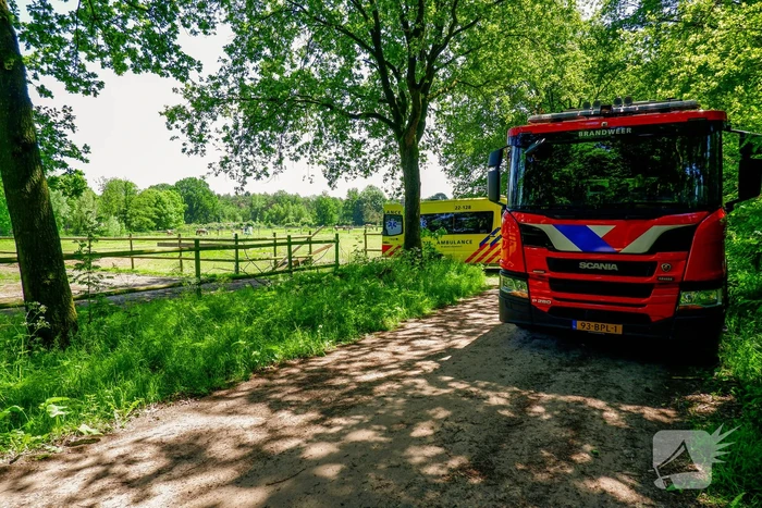 nieuws 1e bosweg helmond