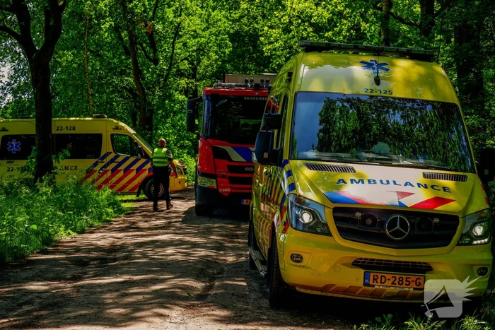 Persoon krijgt trap van veulen en raakt zwaargewond