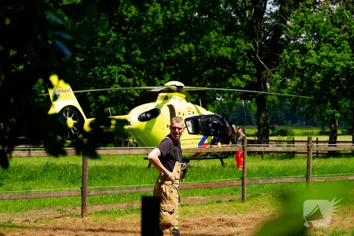 Persoon krijgt trap van veulen en raakt zwaargewond