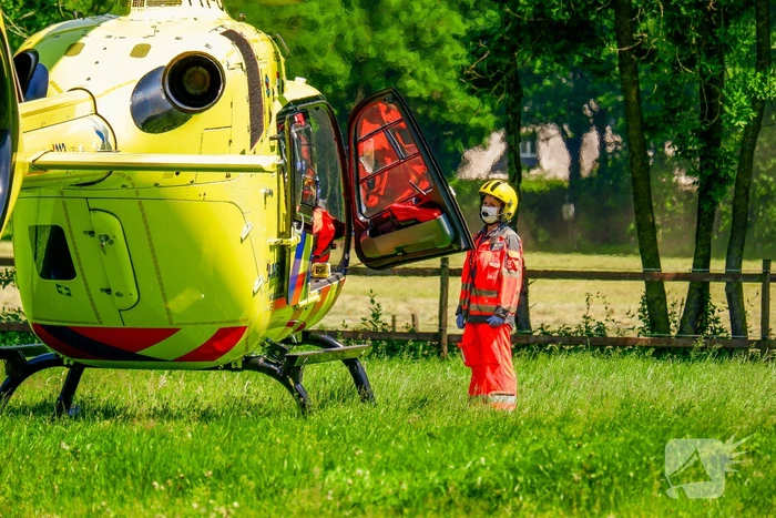 Persoon krijgt trap van veulen en raakt zwaargewond