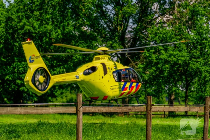 Persoon krijgt trap van veulen en raakt zwaargewond