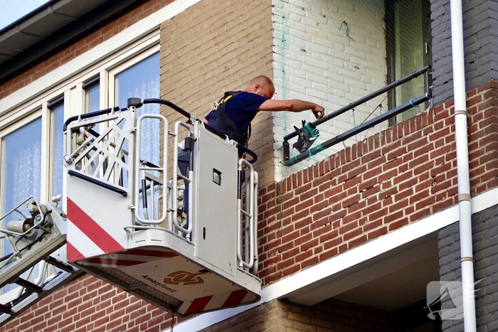 Brandweer haalt duif uit net