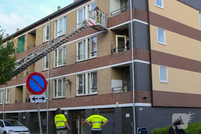 Brandweer haalt duif uit net