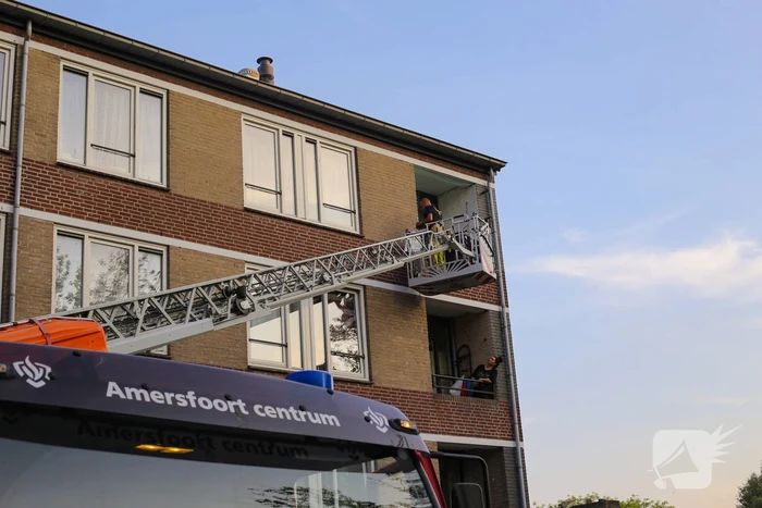 Brandweer haalt duif uit net