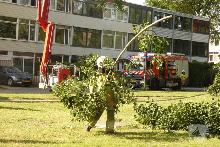Brandweer zaagt afgebroken tak in stukken