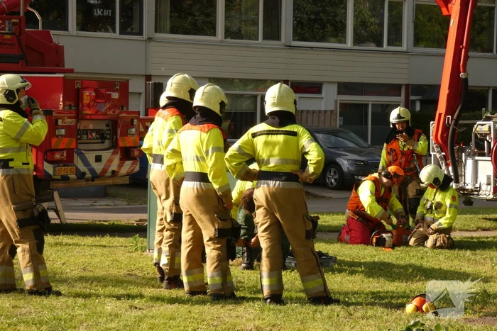 Brandweer zaagt afgebroken tak in stukken