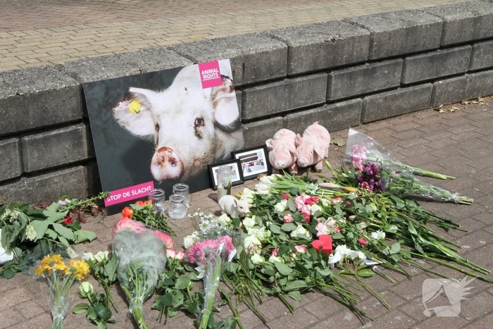 Wake voor omgekomen varkens bij brand