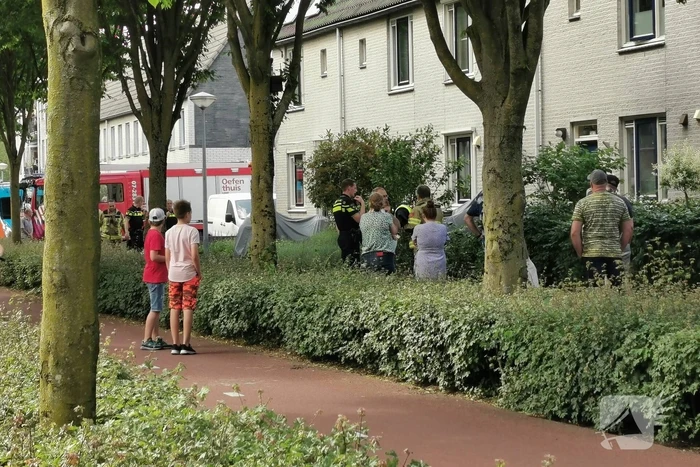 brand trumandreef ede