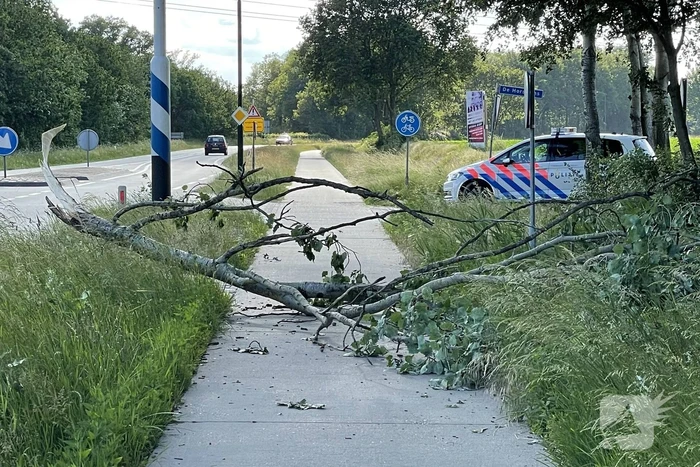 natuur eerdsebaan - n622 schijndel