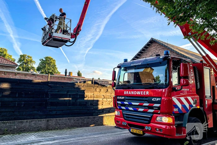 Vastzittende zwaluw gered door brandweer