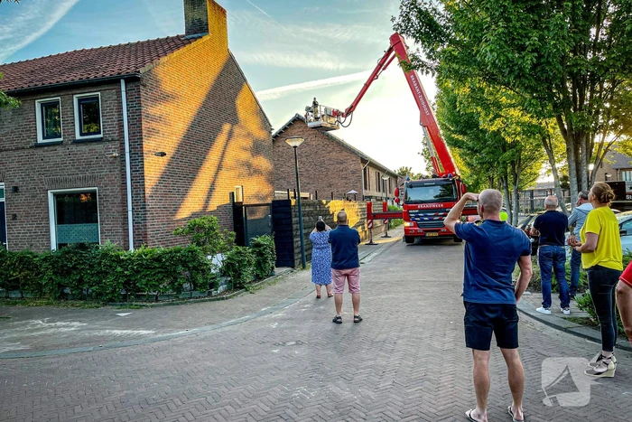 Vastzittende zwaluw gered door brandweer