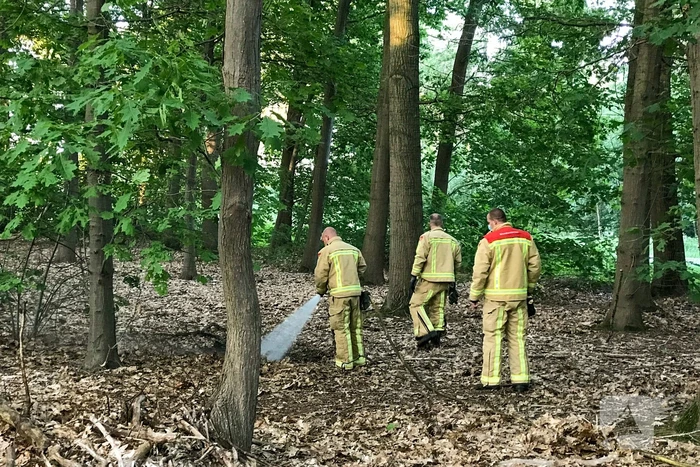 Brandweer blust twee buitenbranden in bos