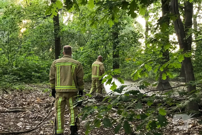 Brandweer blust twee buitenbranden in bos