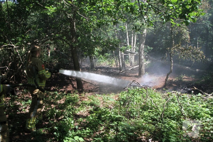 Twee brandhaarden in bosgebied
