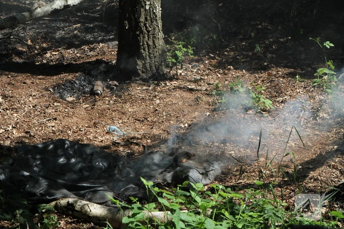 Twee brandhaarden in bosgebied