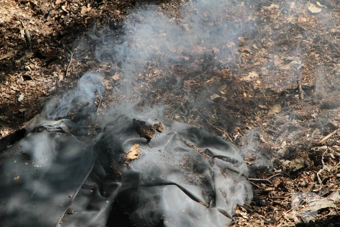 Twee brandhaarden in bosgebied