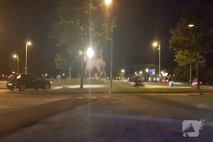 Onrustige nacht bij de Stier door EK voetbal