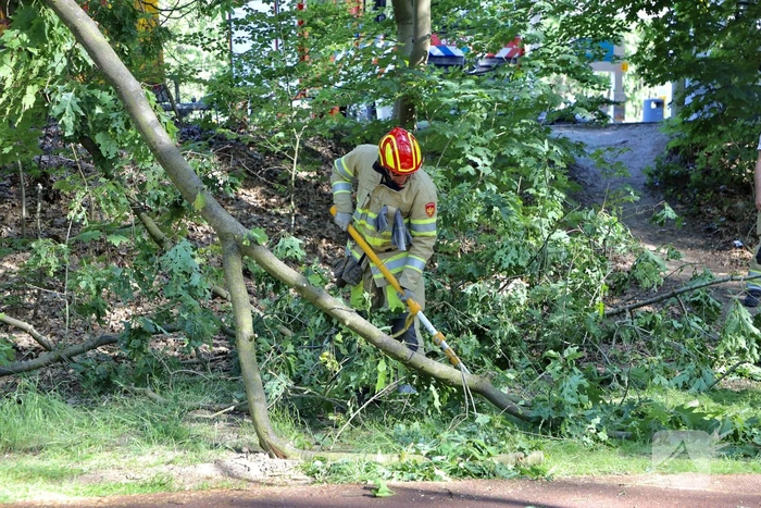 Brandweer verwijdert gevaarlijke hangende tak boven fietspad