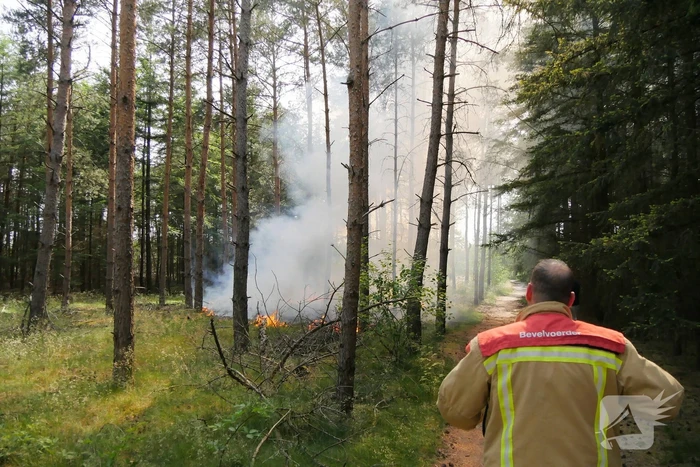 brand hogeweg lierop