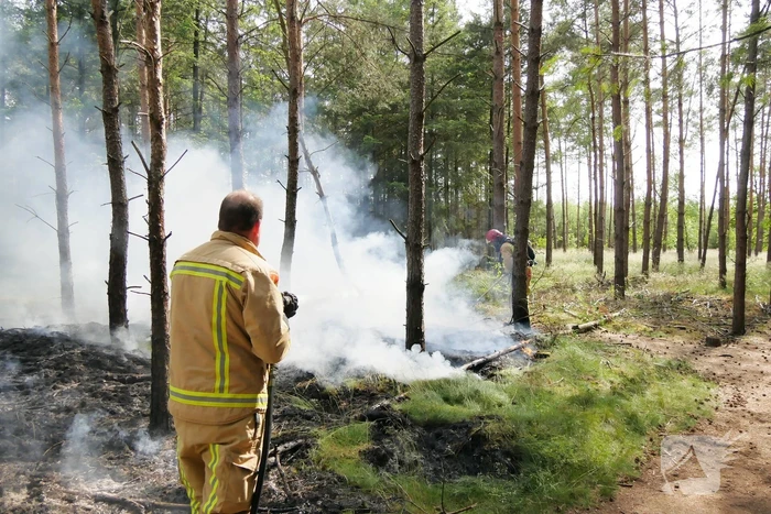 Flinke brand in bosgebeid