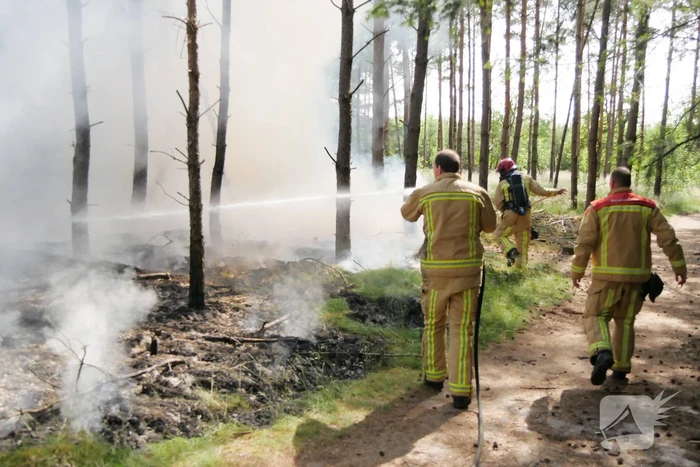 Flinke brand in bosgebeid