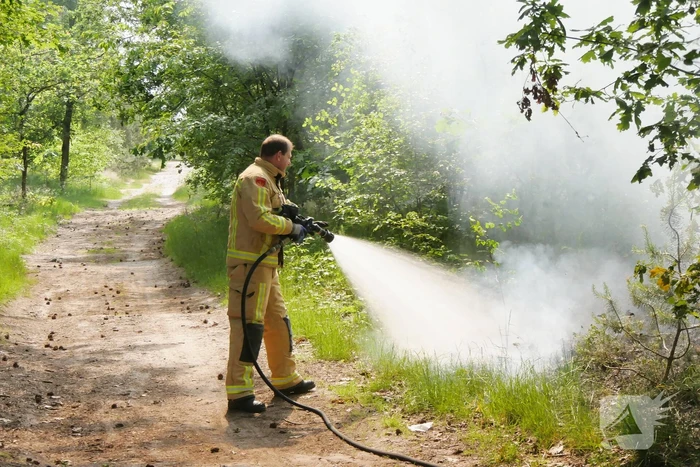 Flinke brand in bosgebeid