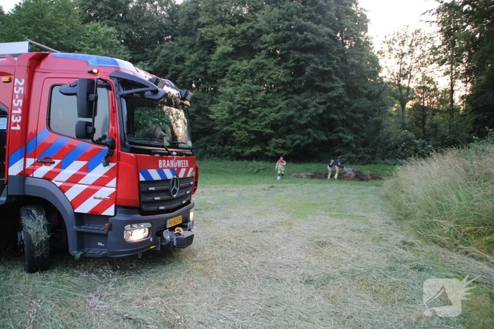 Hooibalen in brand gestoken
