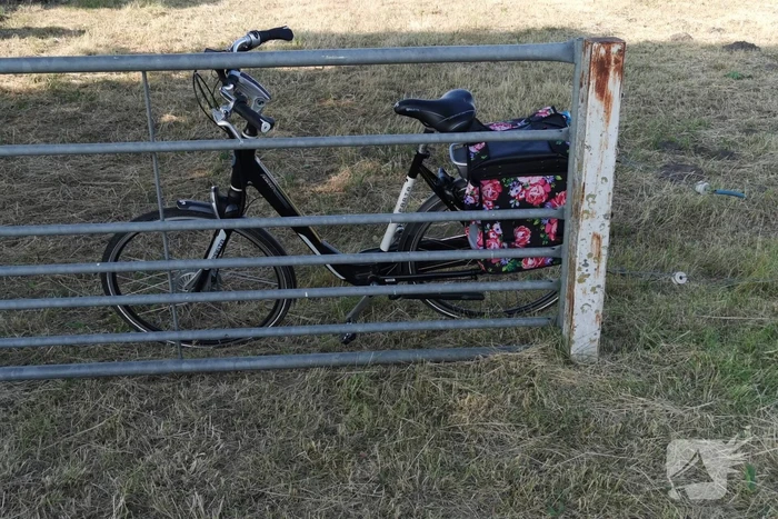 Fietsster schrikt van bestelbus en botst tegen lantarenpaal