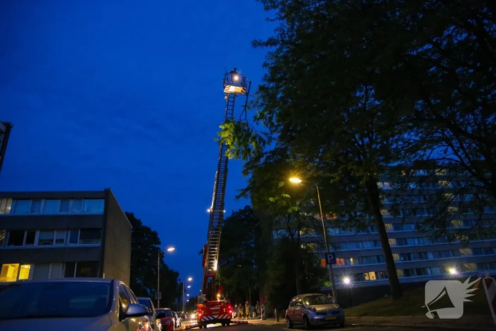 Brandweer verwijdert grote tak van boom