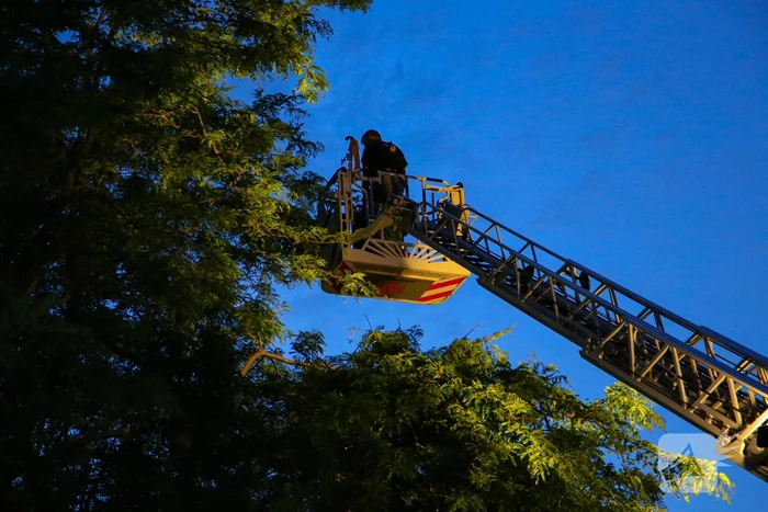 Brandweer verwijdert grote tak van boom