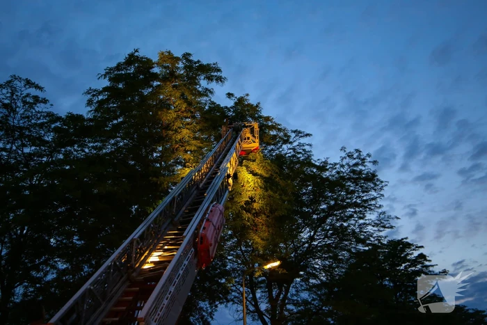 Brandweer verwijdert grote tak van boom