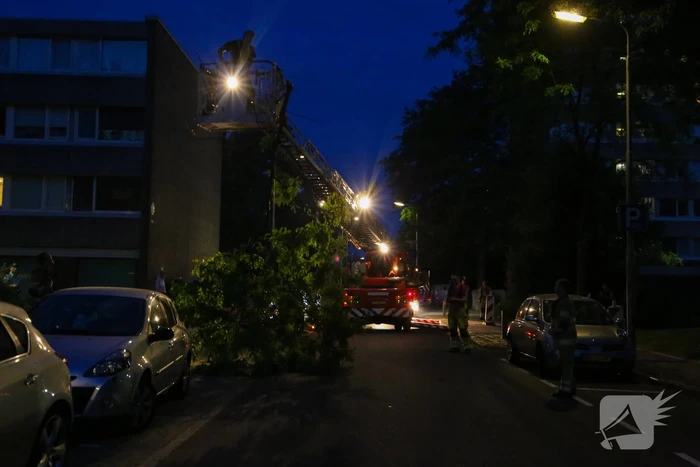 Brandweer verwijdert grote tak van boom