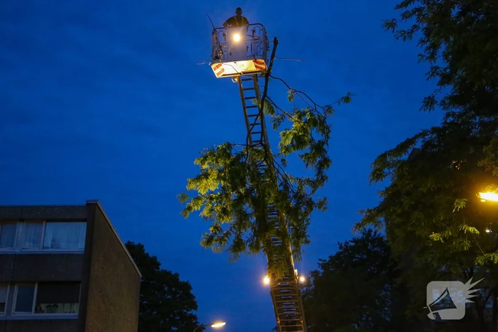 Brandweer verwijdert grote tak van boom