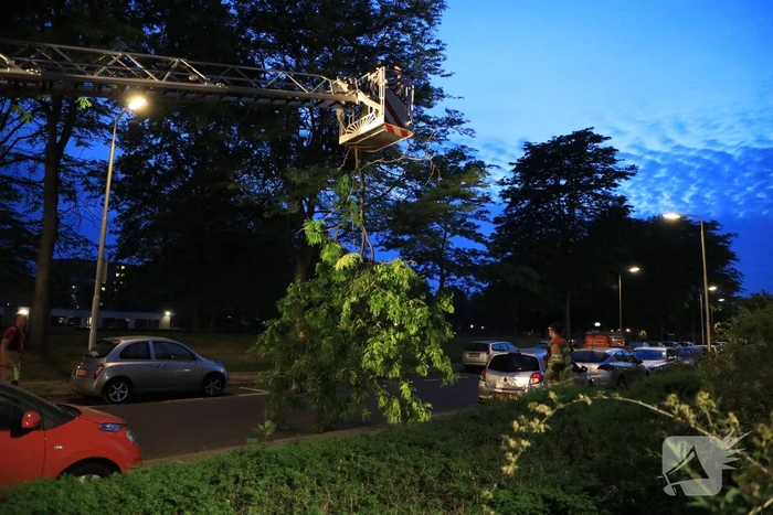 Brandweer verwijdert grote tak van boom