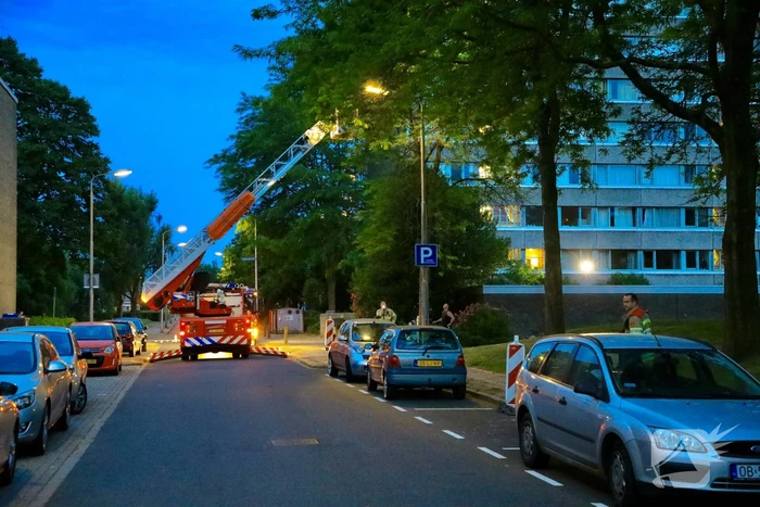 Brandweer verwijdert grote tak van boom