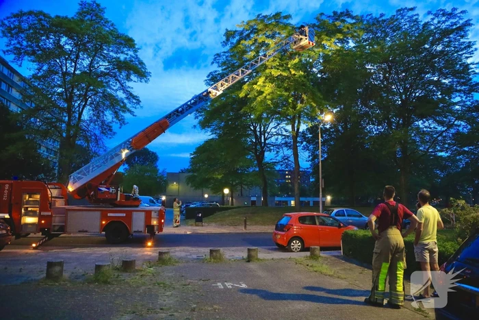 Brandweer verwijdert grote tak van boom