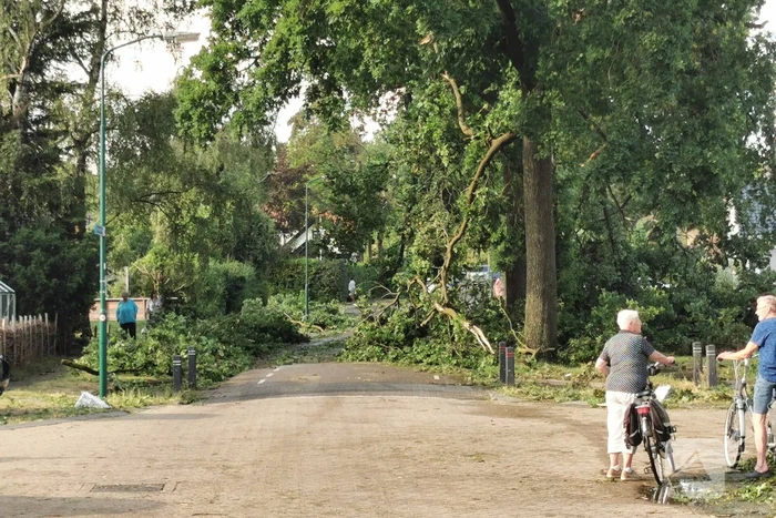 Veel schade door heftige windhoos