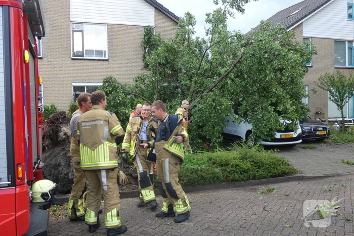 natuur marinus postlaan kampen