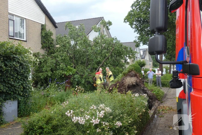 Boom waait om tegen woning en auto