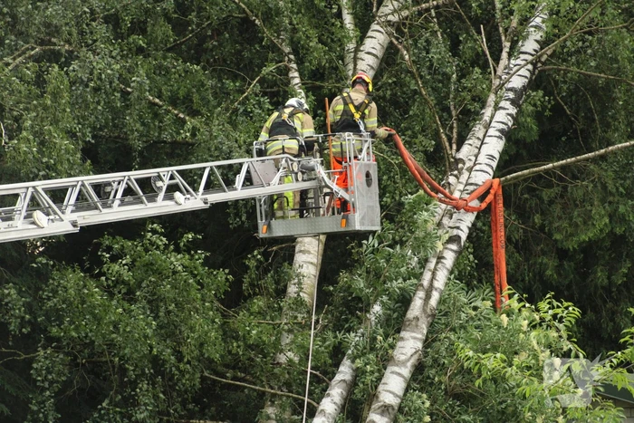 Brandweer verwijdert gevaarlijk staande boom