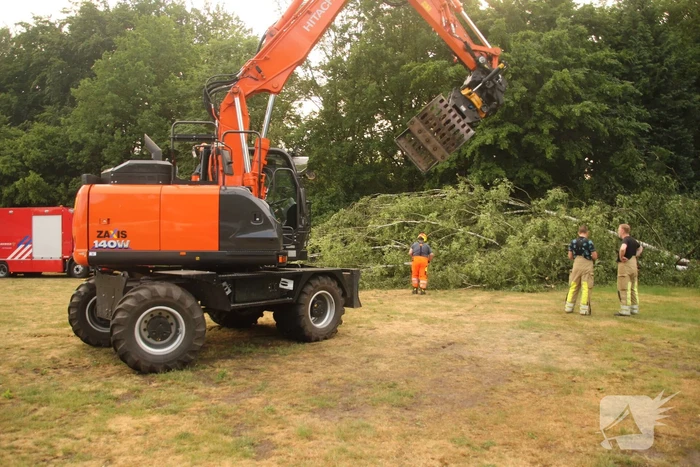Brandweer verwijdert gevaarlijk staande boom