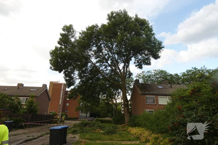 Brandweer handen vol aan stormschade