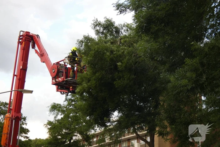 Brandweer handen vol aan stormschade