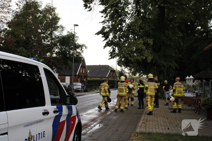Takken afgebroken van boom door windvlaag