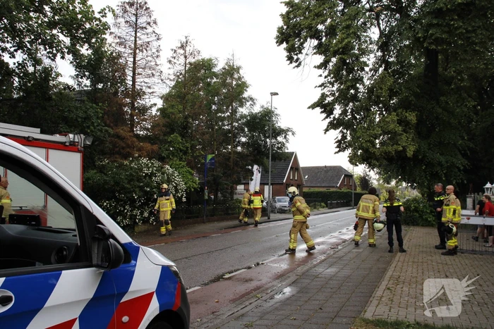 Takken afgebroken van boom door windvlaag