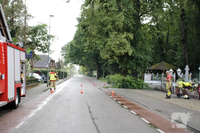 Takken afgebroken van boom door windvlaag